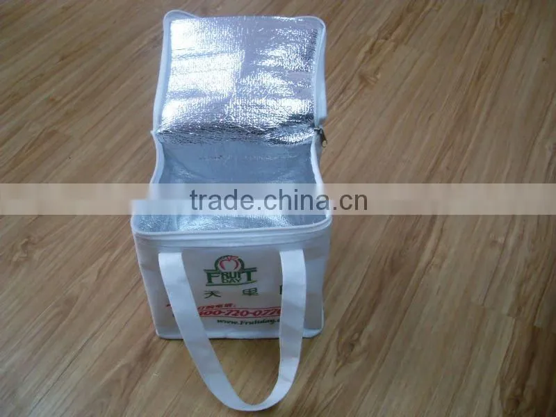 White zipper handle non woven cooler bag