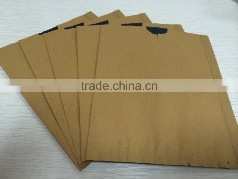 Fruit Growing Paper Bag,Fruit Growing Paper Bag Manufacturer