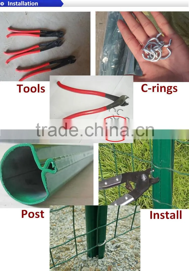 Euro Welded Wire Mesh Roll Garden Fence