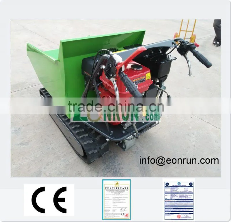 Farm dumper with hydraulic