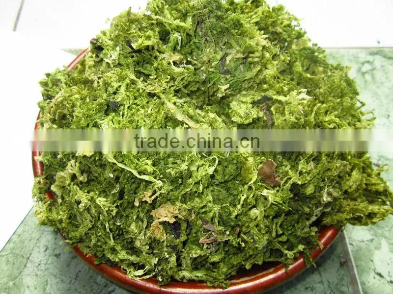 Ulva lactuca (Powder)