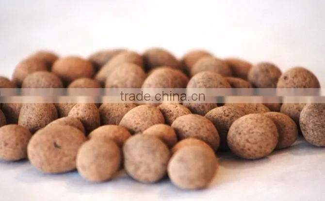 Roasted Watermelon Seed
