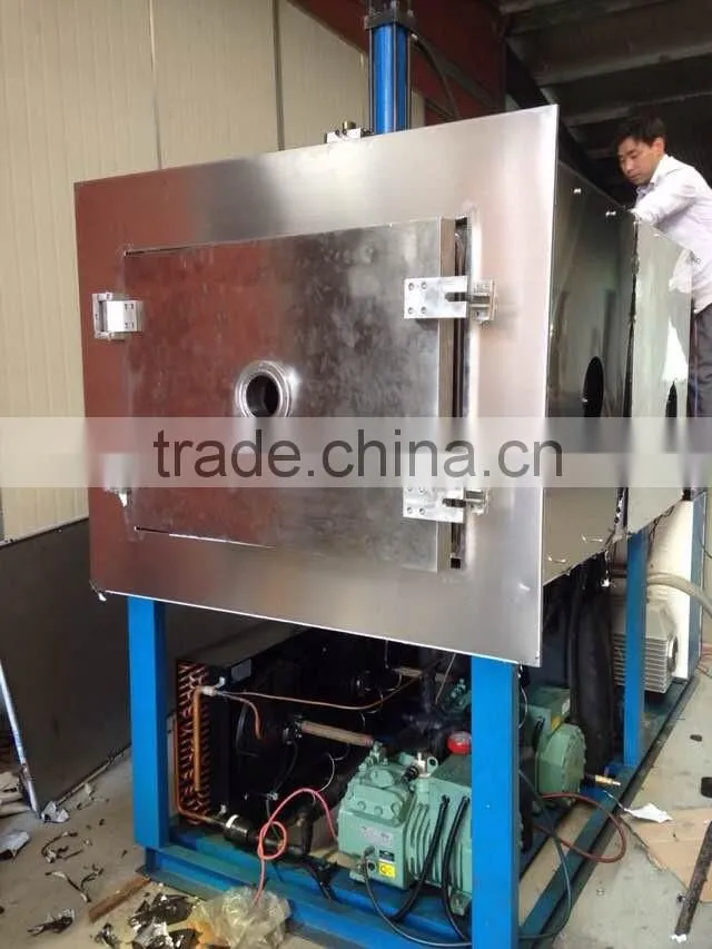 SJIA200FT 2P 6P agriculture freeze dryer