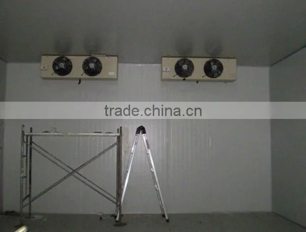 commercial cold room price for storing