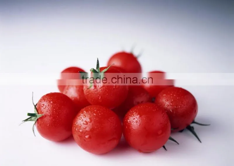multifunction fruit size sorting and grading machine