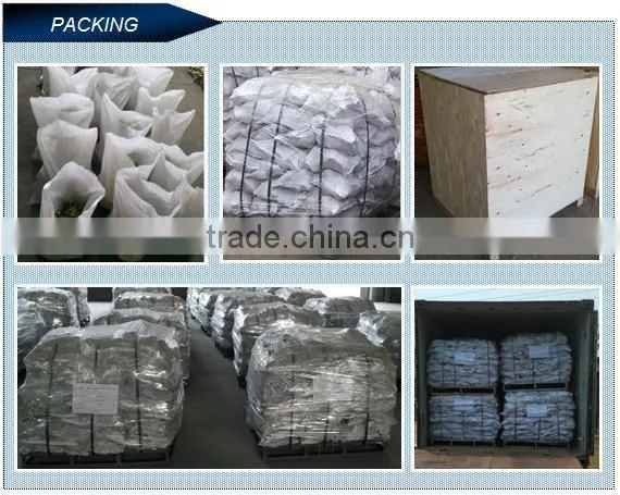 Rizhao Factory Scaffolding Fitting Drop Forged Putlog Coupler