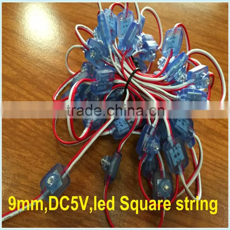 Christmas Holiday Name and 5V Voltage battery powered led square string light
