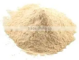 GARLIC POWDER