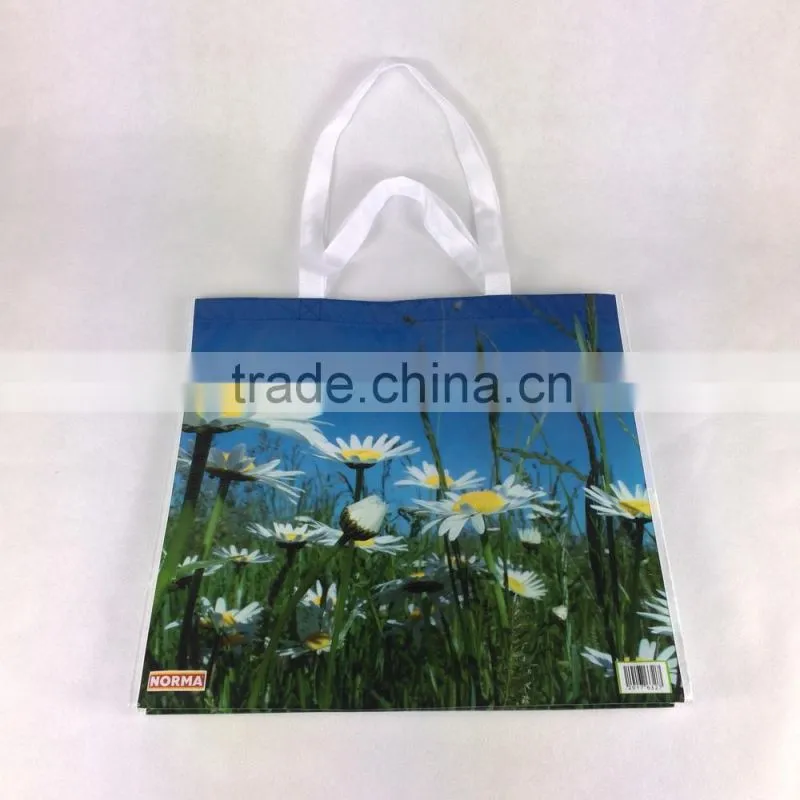 Lead Free RPET BAG 100% Post Consumer Recycle Bag