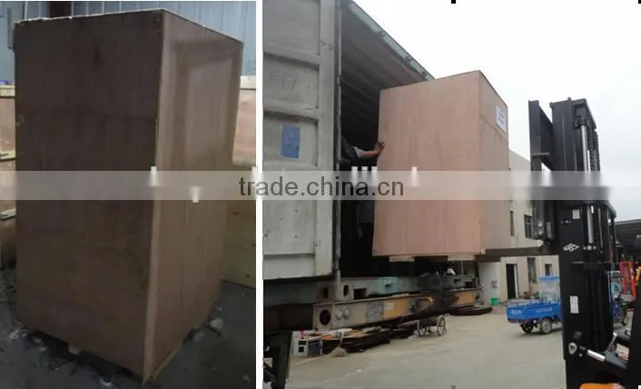 Pepper seed packaging machine, pepper seed packing machine, seed packing machine