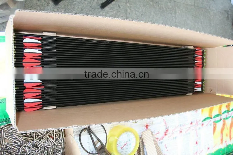 carbon arrows
