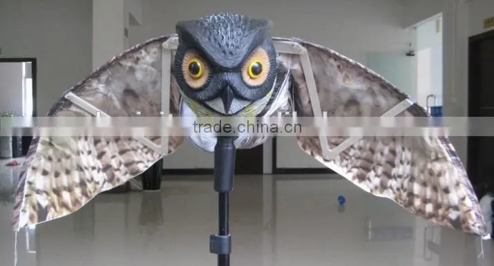 prowler owl