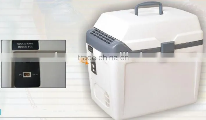 Car freezer