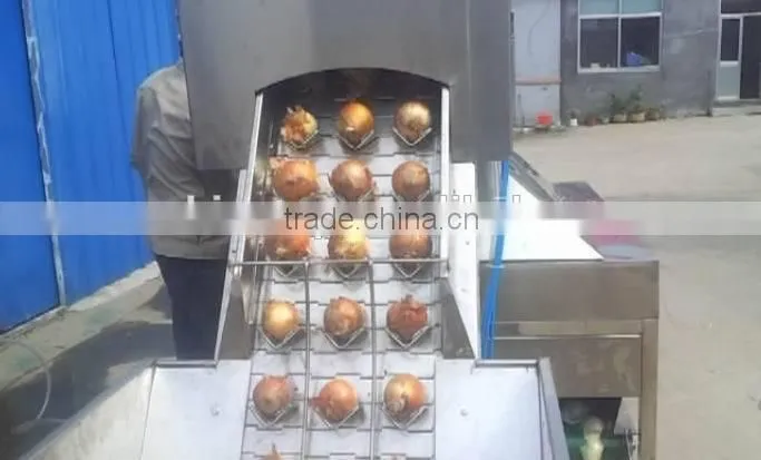 Three belts onion peeling machine/peeling onion machine/onion stripper/onion processing machine