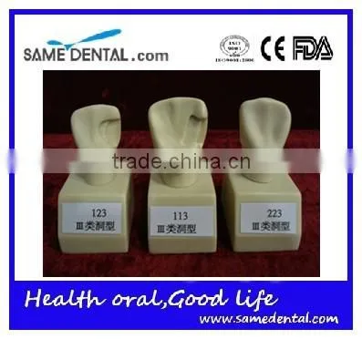 Hot Sale 4 Times Butment Cavity Preparation Model Gingival School Teaching Demonstration Models