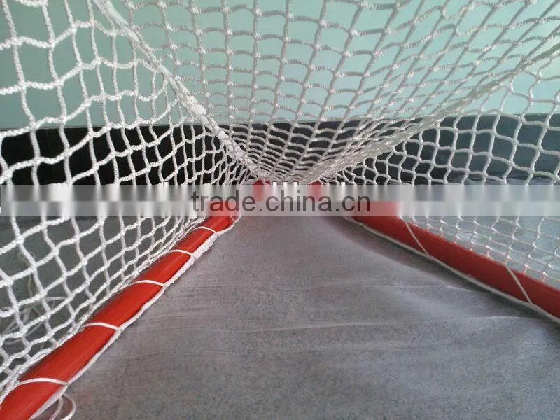 Field Hockey Goal