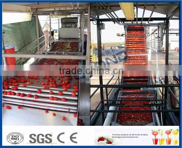 turnkey project of tomato ketchup production line