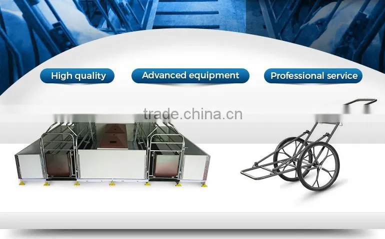 Poultry Cage/poultry equipment