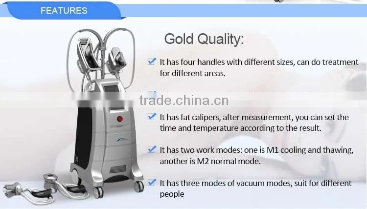 Cryolipolysis Beauty Salon Equipment / Fat Freezing Beauty Salon Equipment / Lipo Cryo