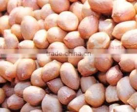 BEST QUALITY PURE FRESH RED PEANUT