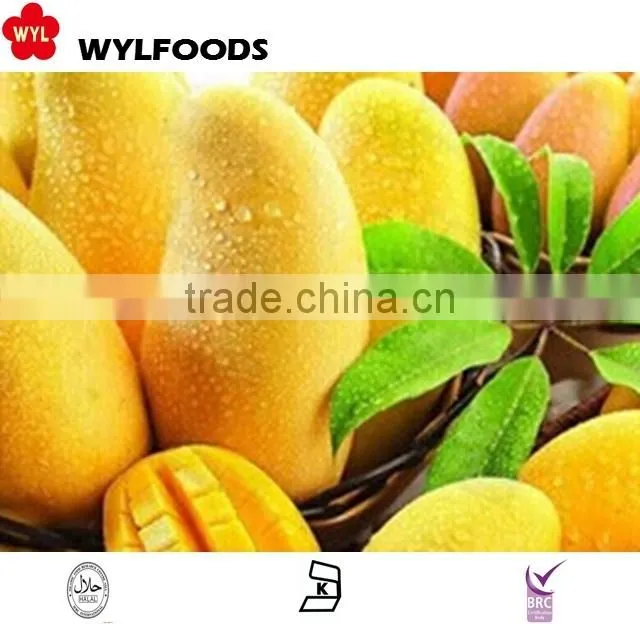 IQF frozen Mango dices hot sales 2015