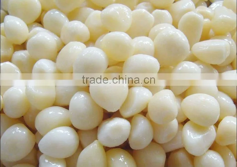 chinese garlic
