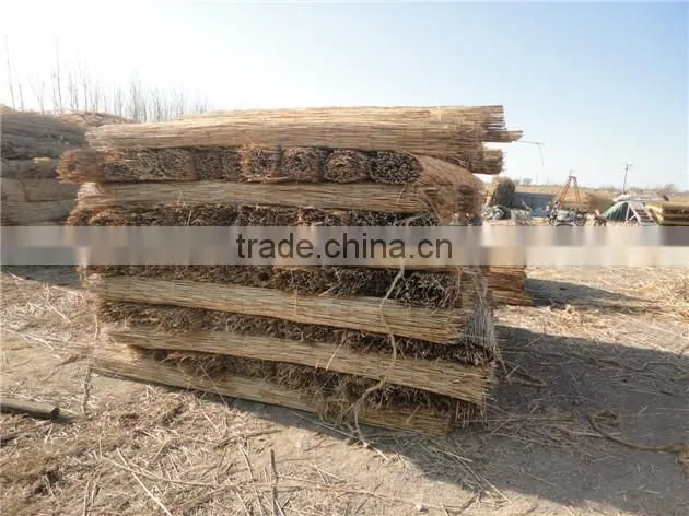 Electrical drive any width make by order Rush stalk screen machine