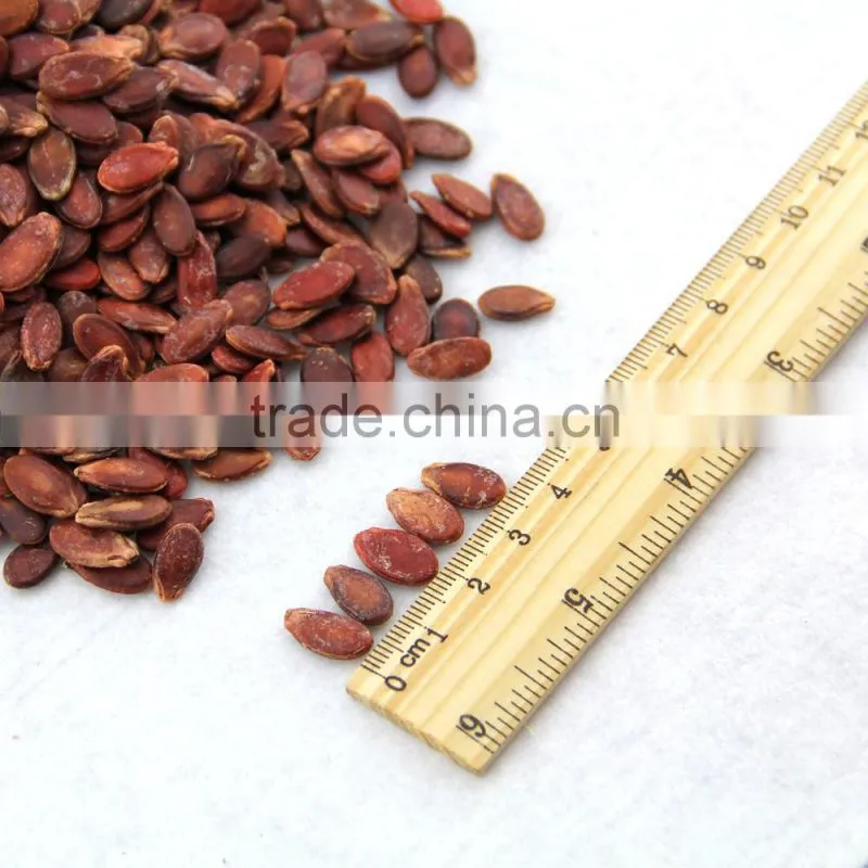 wholesale red melon seeds with big size natural color