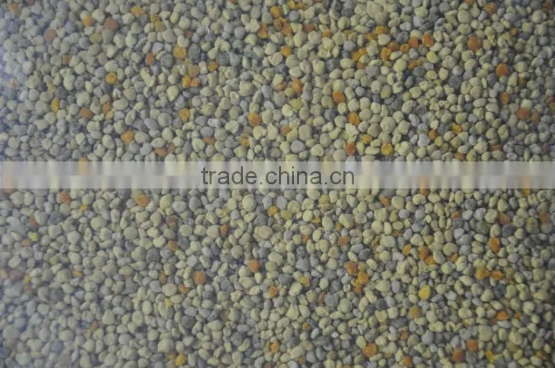 mixed pollen/bee pollen/bee bread from GMP factory