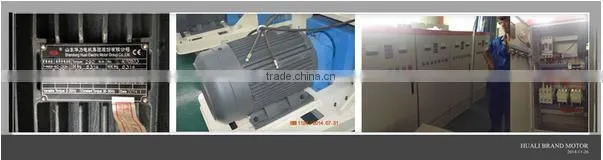 Ring die Wood Pellet Machine/Making Machine/Wood Pellet Production Line