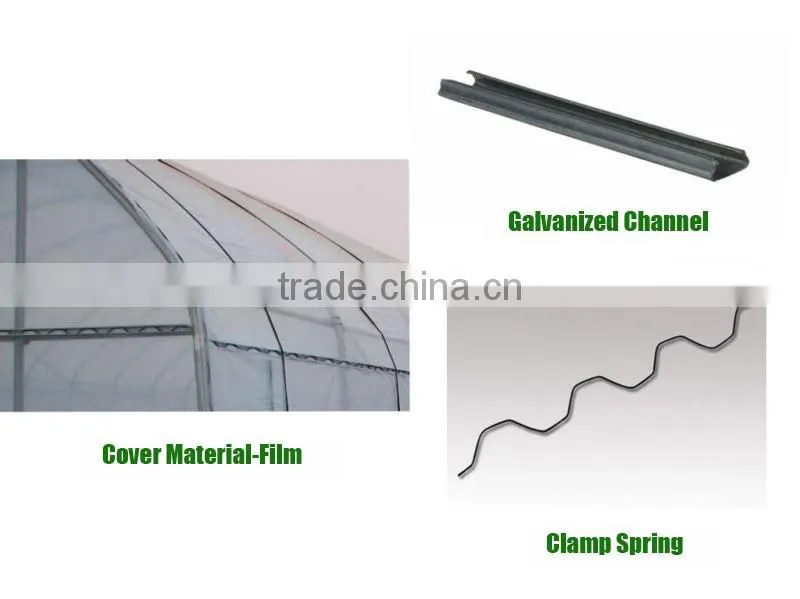 High-Quality Film Multi-Span Greenhouse, Arch-Type