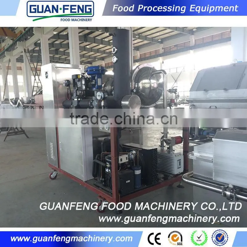 Professional Fruit Lyophilizer Equipment Industrial Lemon Drying Machine