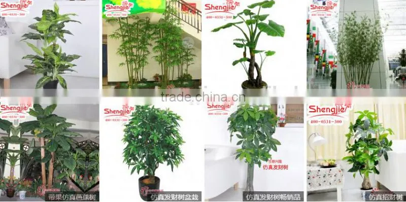 CHY070908 High quality tree leaves/Bay leaf craft/bay leaf production