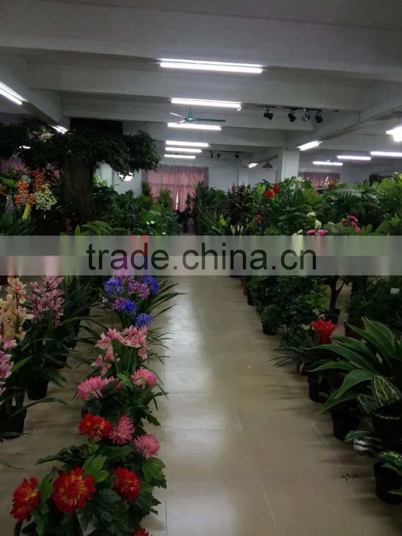 Hot sale eco-friendly PE indoor artificial green wall for landscaping decoration