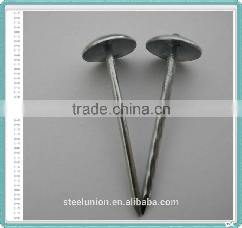 Top quality umbrella head roofing nails/linyi Roofing nails