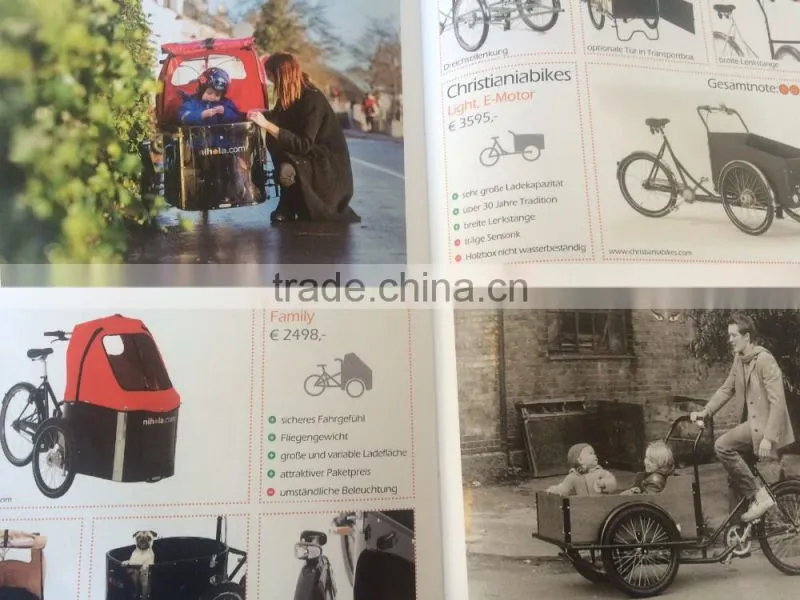 Electric tricycle bikes