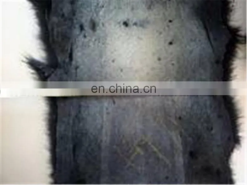 High quality genuine Raccoon fur skin for coat /garment