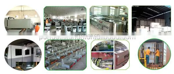 Stainless Steel table top LPG Gas Shawarma Grill Machine with two Burners