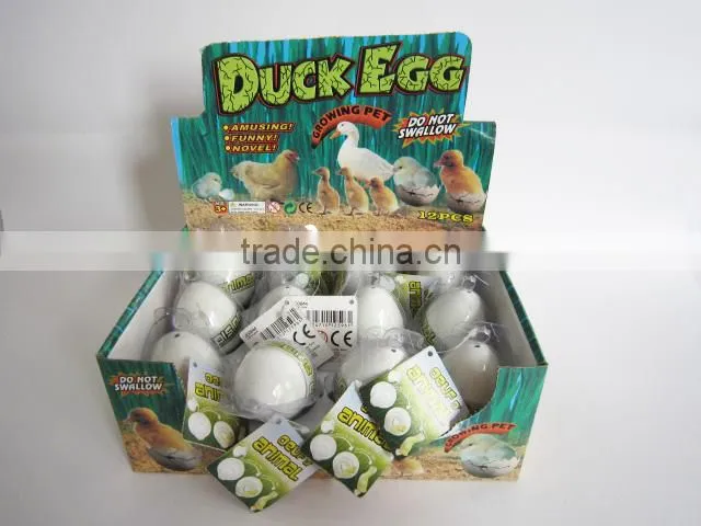 Growing duck eggs hatching surprise duck egg toys