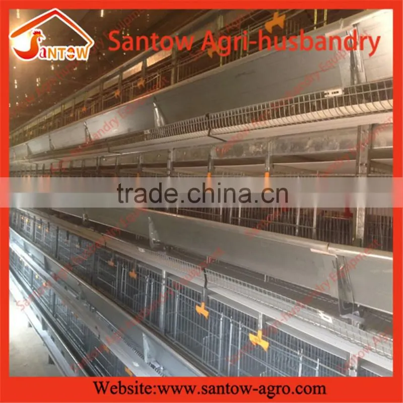 Stable steel structure professional chicken egg layer cage chicken egg layer house
