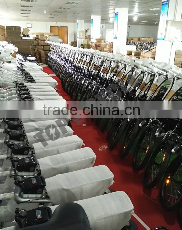 Alloy frame mini ebike easy riding small folding electric bike