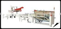 Automatic Carton Packing Machine / Automatic Carton Packer
