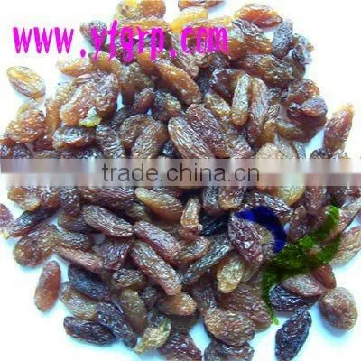 China red raisin