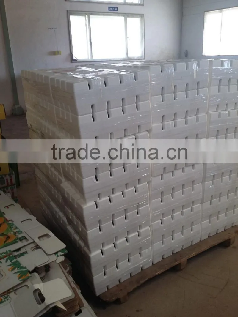 Fresh Alphonso Mangoes Exporters in India