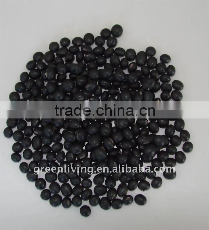 new crop black bean(best quality and price)
