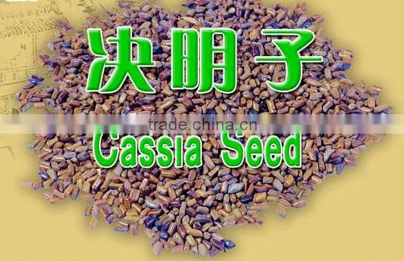 Cassia Seed Chinese Herb