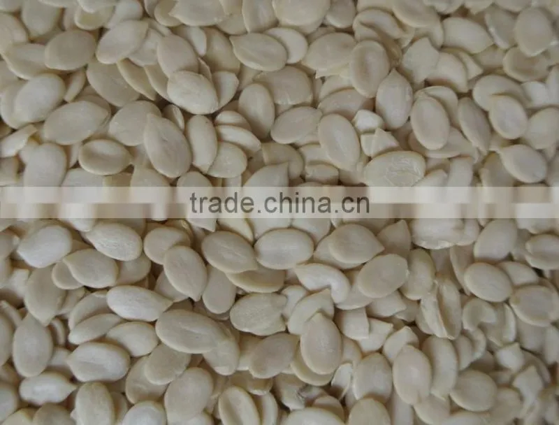 Good quality Watermelon Kernels for market of Europe &America