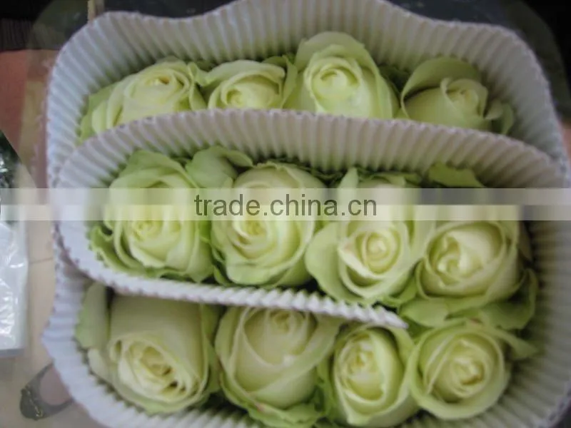wholesale different types of fresh cut red rose flowers