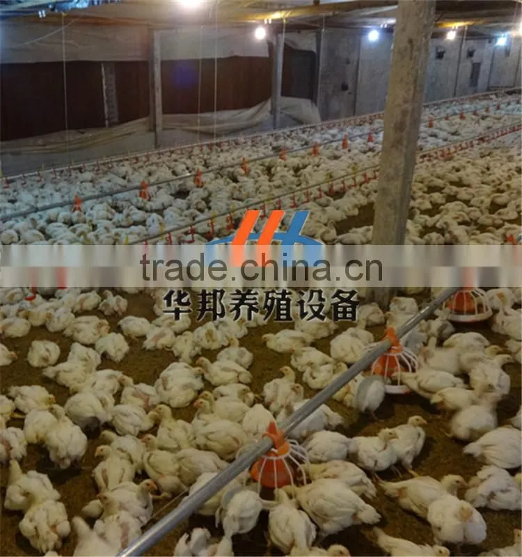 iran poultry poultry equipment.