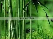 Best selling bamboo skewer machinery